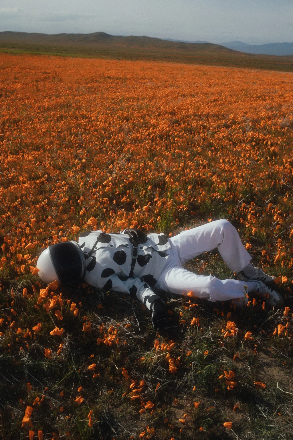 A reclining figure surrounded by orange wildflowers