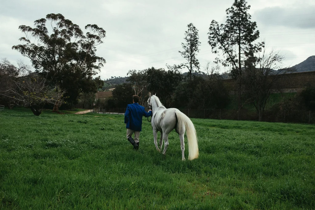 Figure in a blue coat walking with a white horse through a green field